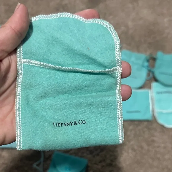 Tiffany & Co. Turquoise Pouch Collection - Picture 6 of 16